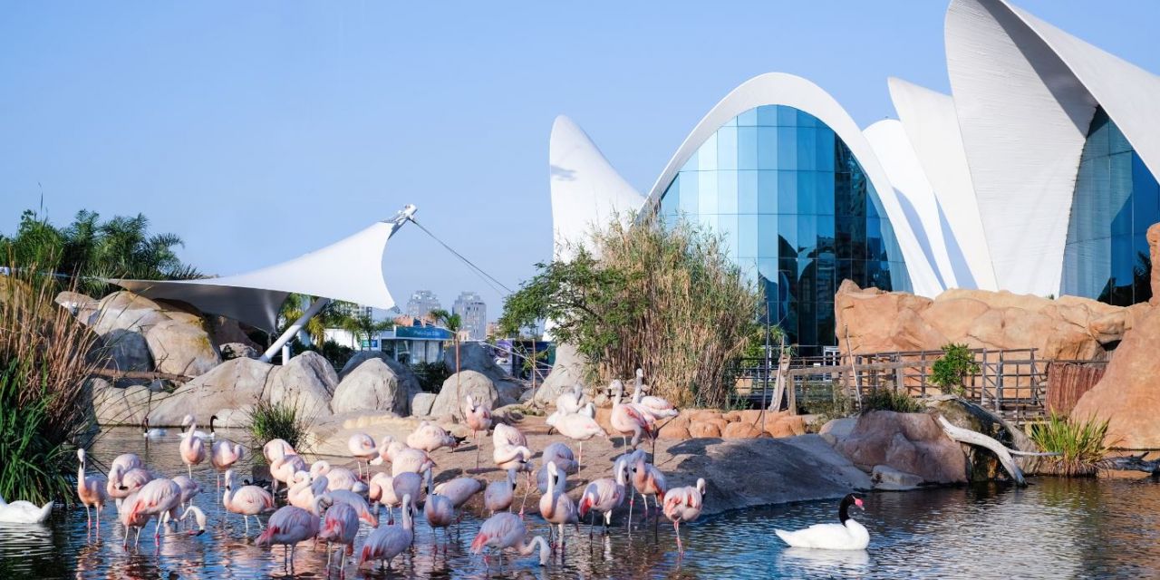  Oceanográfico de Valencia