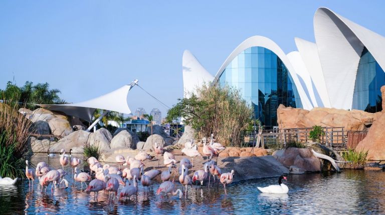 Oceanográfico de Valencia