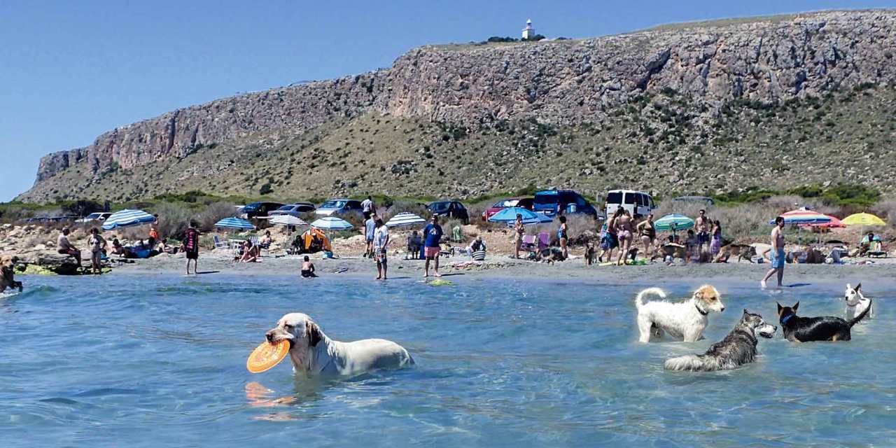  La Caleta dels Gossets de Santa Pola es el mejor destino turístico Pet-Friendly 