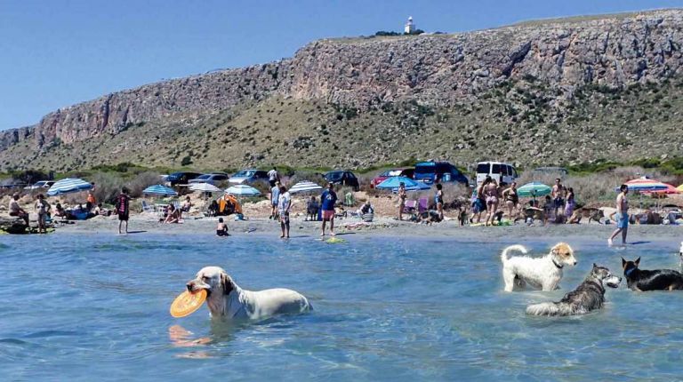 La Caleta dels Gossets de Santa Pola es el mejor destino turístico Pet-Friendly 