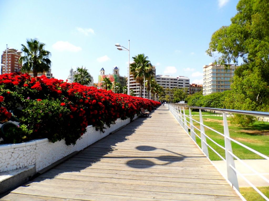  Ruta por los puentes del Rio Turia en València