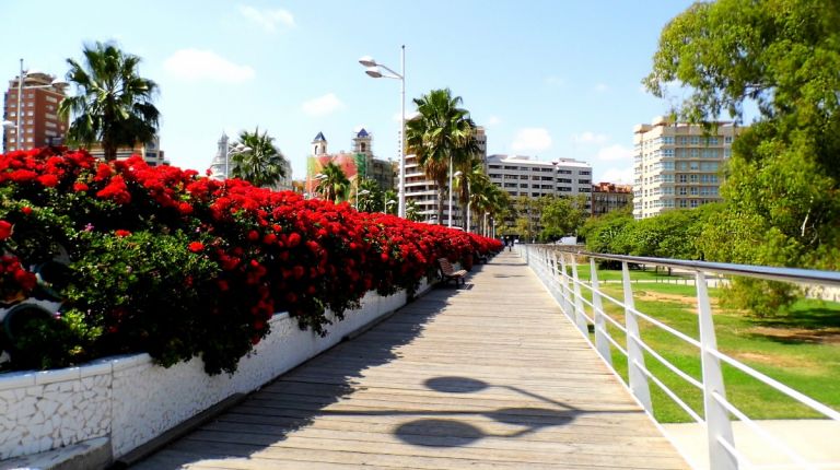 Ruta por los puentes del Rio Turia en València