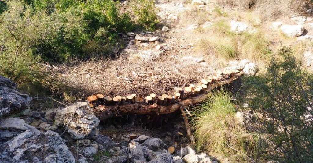  Santa Pola reforestará su Sierra y limpiará las zonas en mal estado