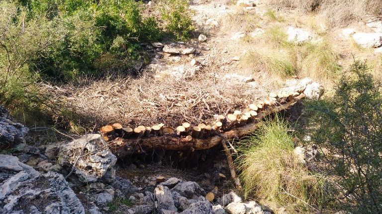 Santa Pola reforestará su Sierra y limpiará las zonas en mal estado