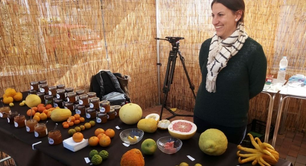  La I edición del Concurso Gastronómico de Cítricos de Palmera se estrena con “Al Plat i a la Taula”