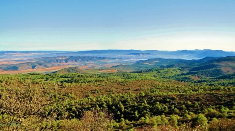 Observación de aves como reclamo turístico de Villena