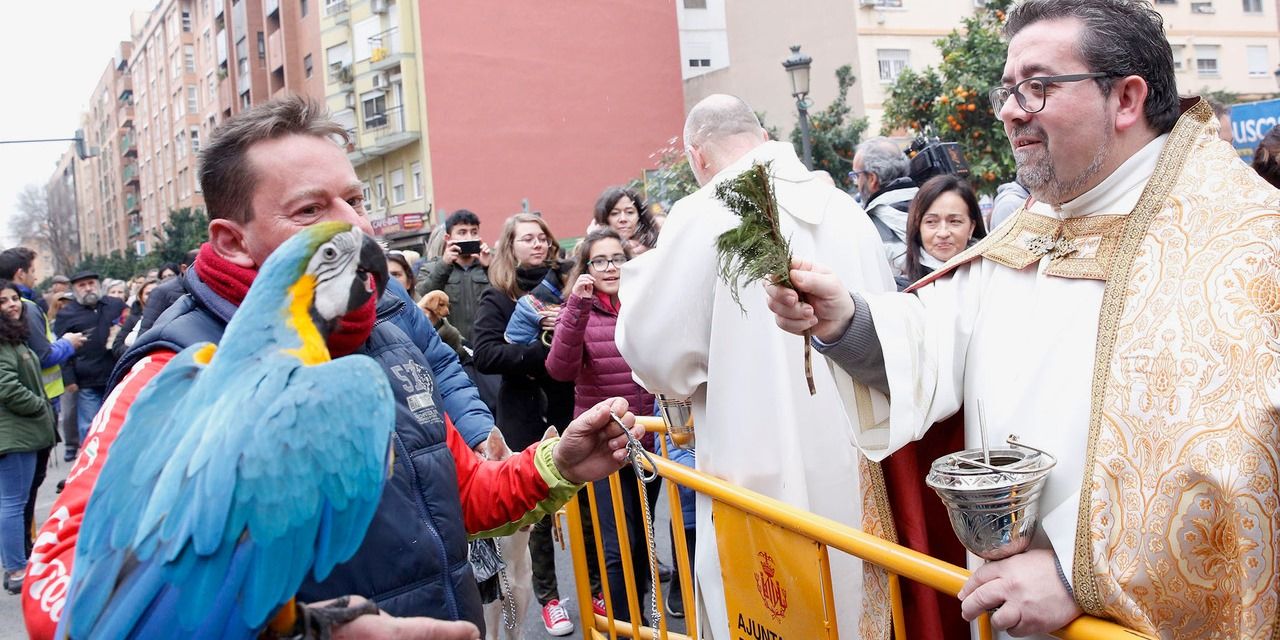  El patrón de los ganaderos y protector de los animales, San Antonio Abad, se celebra por toda la provincia de Valencia