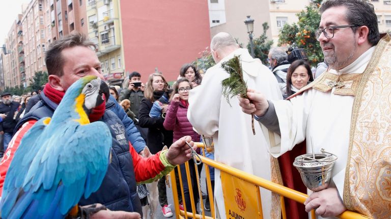 El patrón de los ganaderos y protector de los animales, San Antonio Abad, se celebra por toda la provincia de Valencia