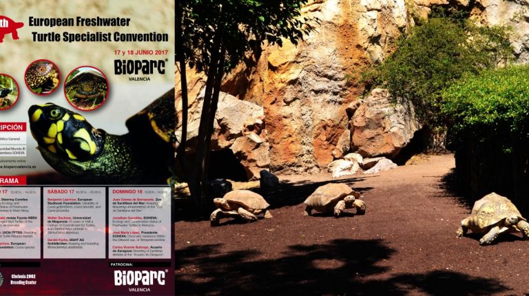 BIOPARC Valencia acogerá este año la 9ª Convención Europea de especialistas en tortugas de agua dulce “9th EFTB”