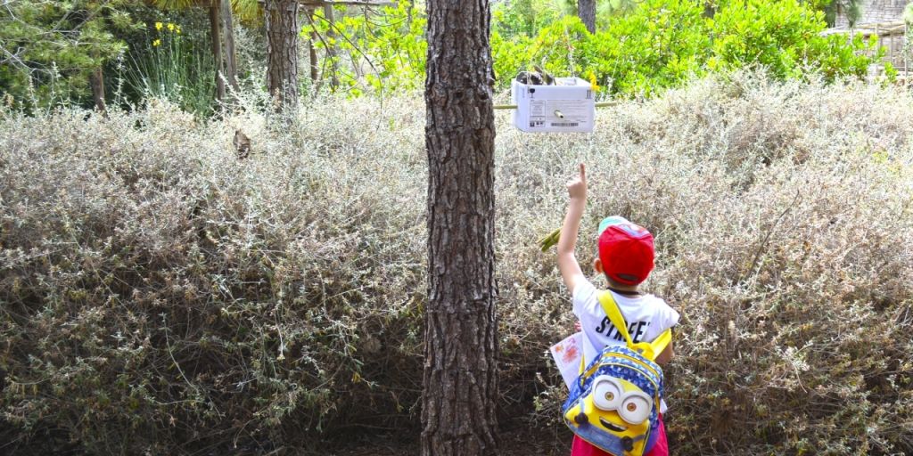  Terra Natura Benidorm habilita casas para insectos para fomentar la biodiversidad en su entorno