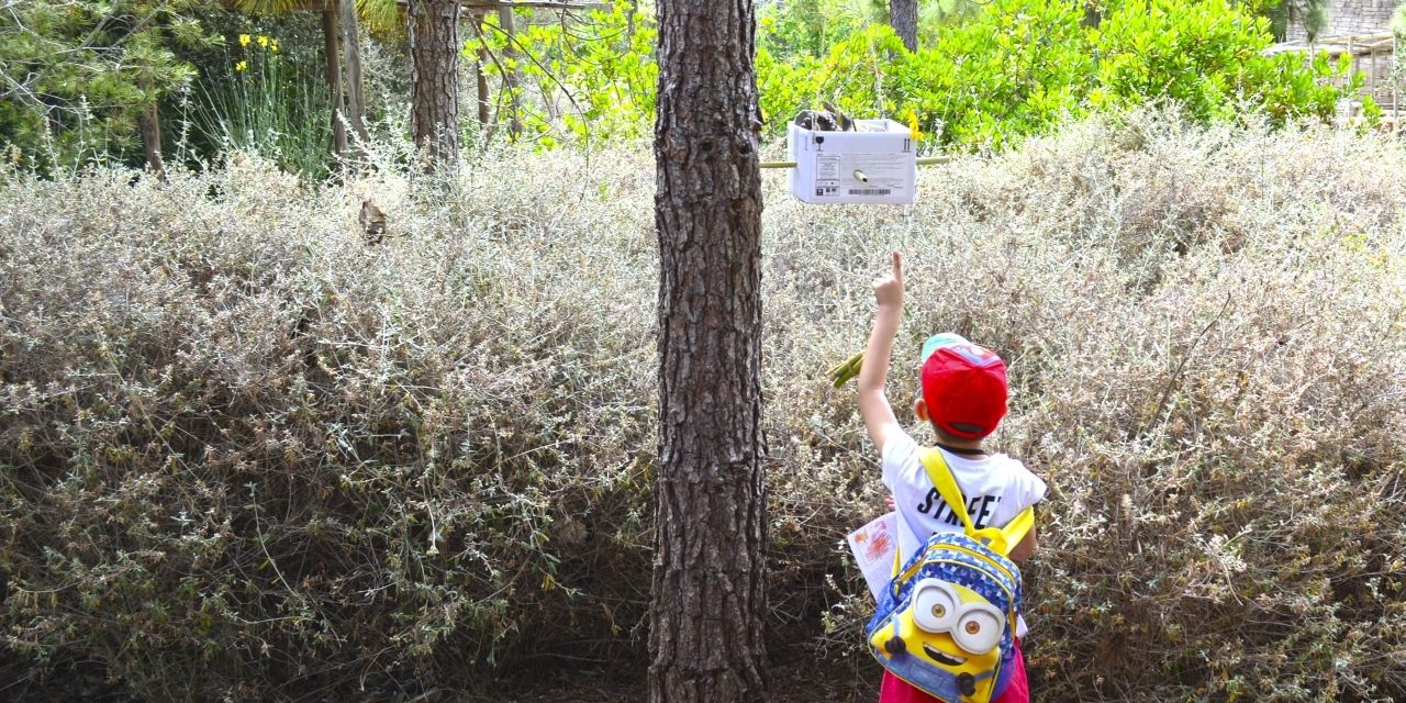  Terra Natura Benidorm habilita casas para insectos para fomentar la biodiversidad en su entorno