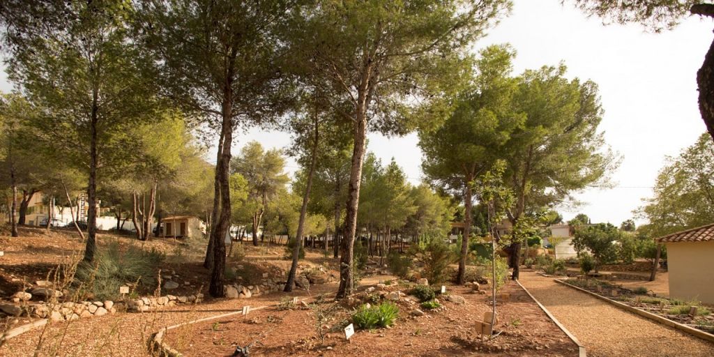  El Centro Los Carrascos de l’Alfàs del Pi logra la distinción de Centro Azul