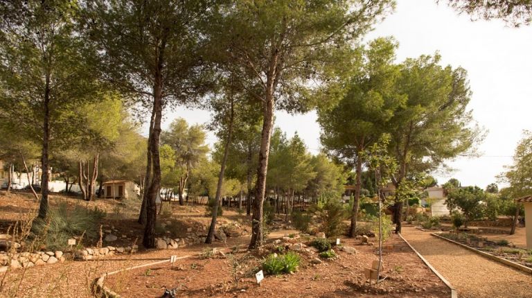 El Centro Los Carrascos de l’Alfàs del Pi logra la distinción de Centro Azul