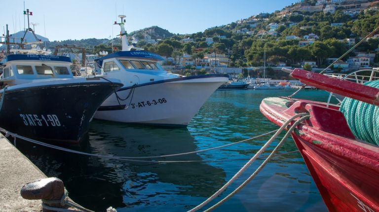 Itinerarios marineros guiados en Xàbia para todos los públicos