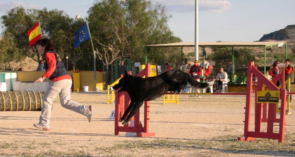  VIII Trofeo de Agilidad Canina Villa en Santa Pola 