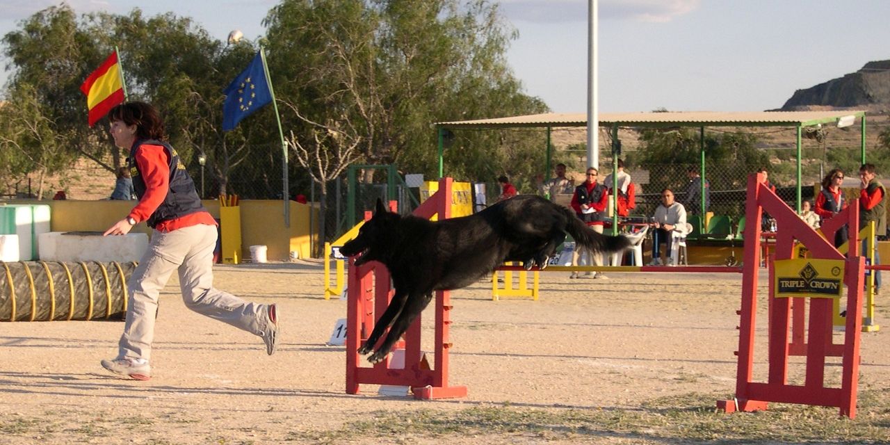  VIII Trofeo de Agilidad Canina Villa en Santa Pola 