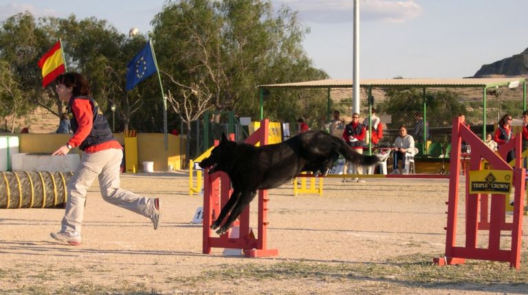 VIII Trofeo de Agilidad Canina Villa en Santa Pola 