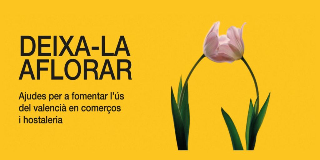  Se abre el plazo para solicitar ayudas que fomentan el uso del valenciano en el comercio y la hostelería