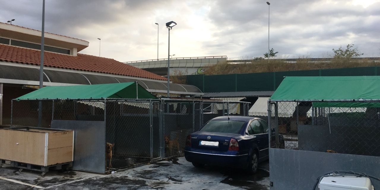  EL AYUNTAMIENTO INICIA UNA DECENA DE INTERVENCIONES PARA MEJORAR EL CENTRO MUNICIPAL DE ACOGIDA DE ANIMALES DE BENIMÀMET