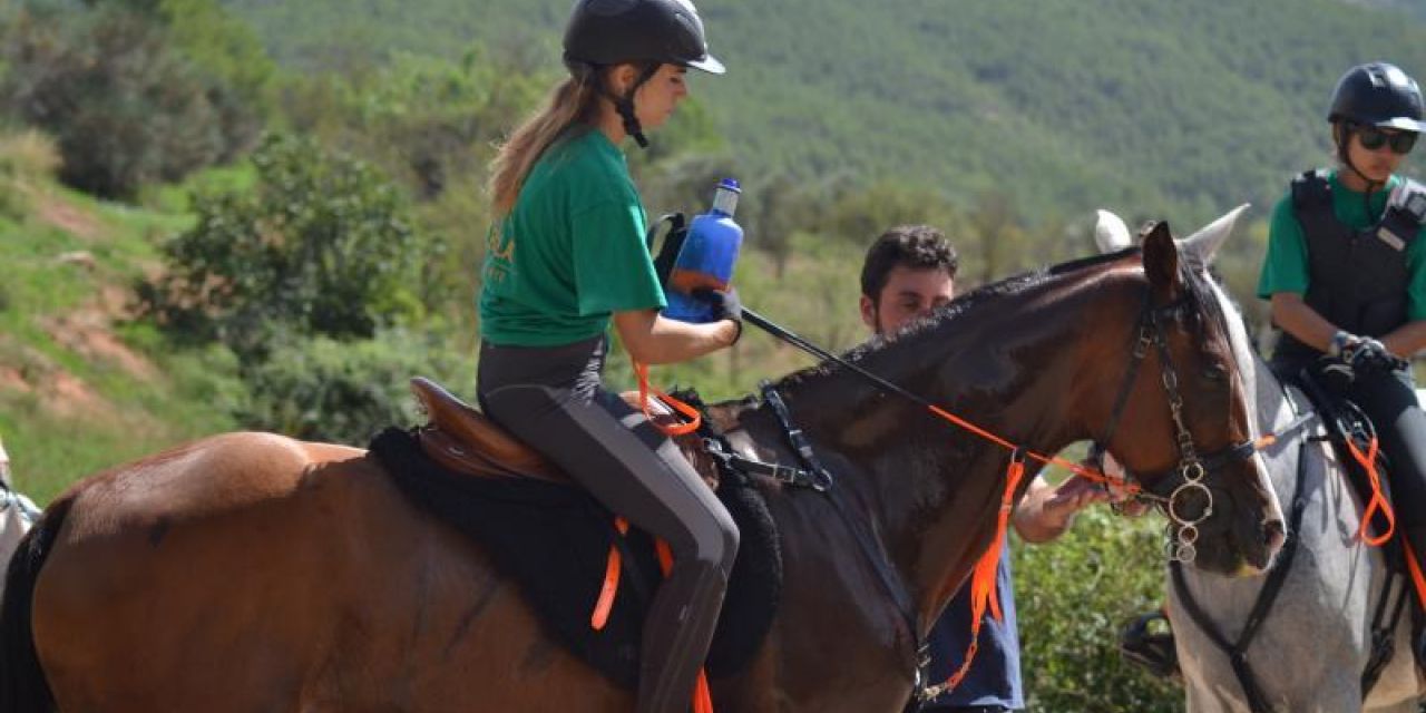  Fin de semana para aficionados a la hípica y amantes de los caballos en Ademuz