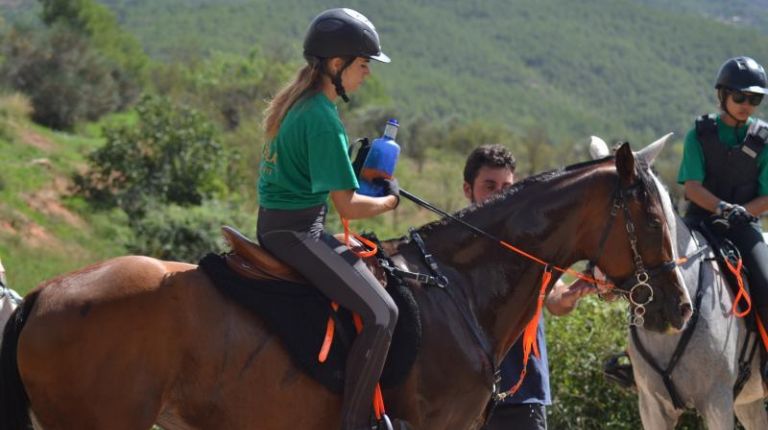 Fin de semana para aficionados a la hípica y amantes de los caballos en Ademuz