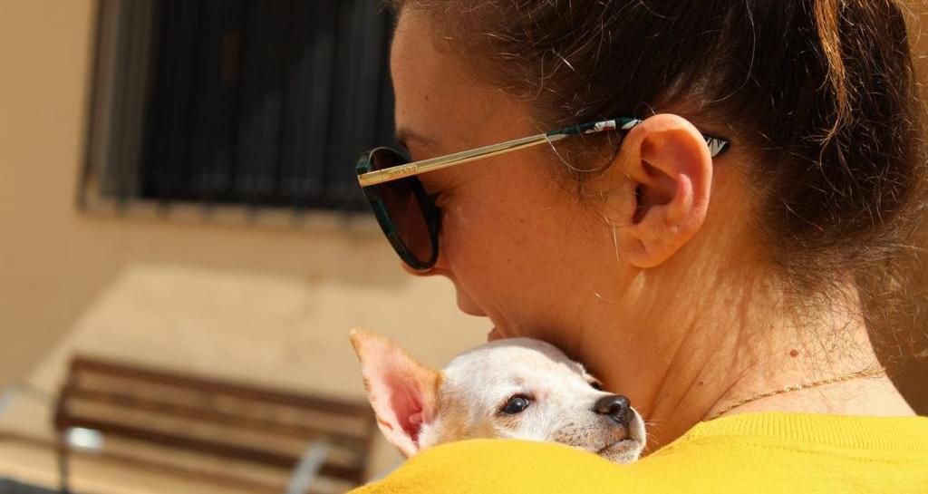  Festival Canino y de la Adopción en l’Alfàs del Pi 