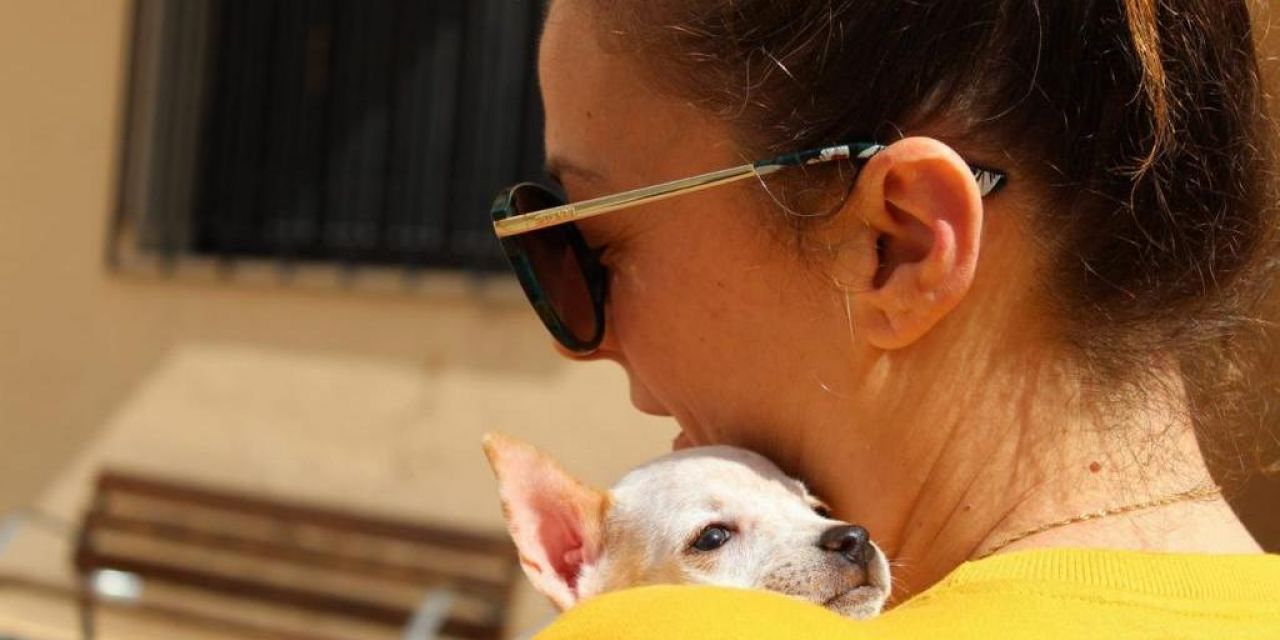  Festival Canino y de la Adopción en l’Alfàs del Pi 