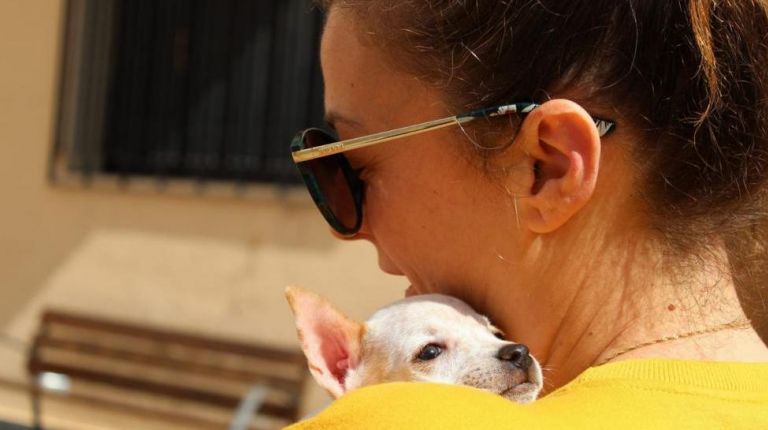 Festival Canino y de la Adopción en l’Alfàs del Pi 