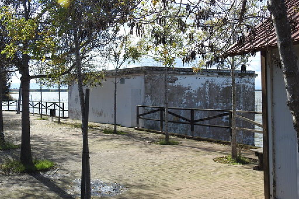  Se rehabilita el embarcadero del Pujol, uno de los lugares más visitados del Parque Natural de l’Albufera