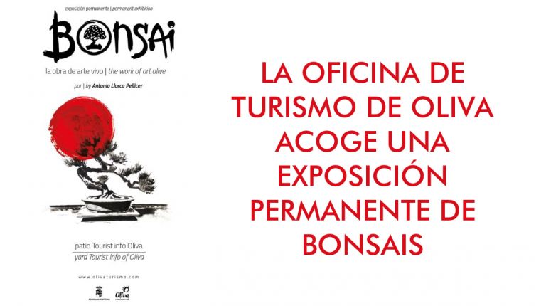 Exposición permanente de Bonsais en la Oficina de Turismo de Oliva 