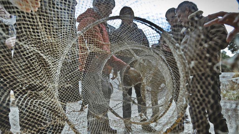 Pescadores de la Bretaña y el mediterráneo francés han participado en la Primera Mostreta de Pesca Artesanal 