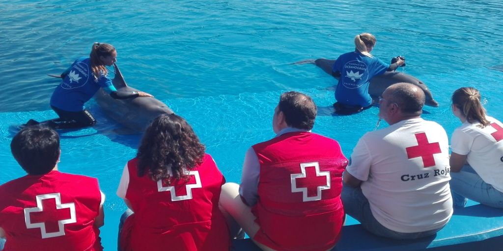  Fundación Oceanográfic y Cruz Roja preparan una campaña de divulgación por las playas sobre varamientos y medusas