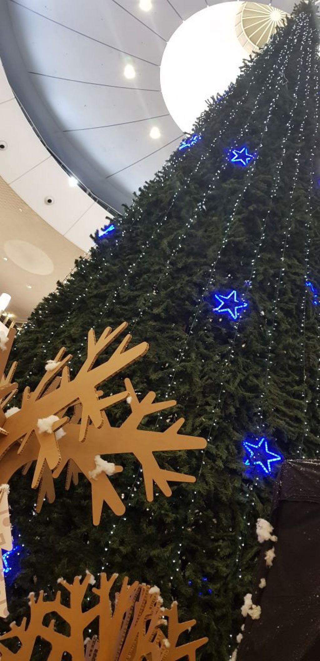  Navidad en el centro comercial El Saler